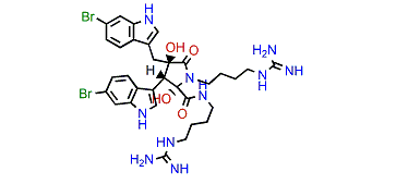 Eusynstyelamide C